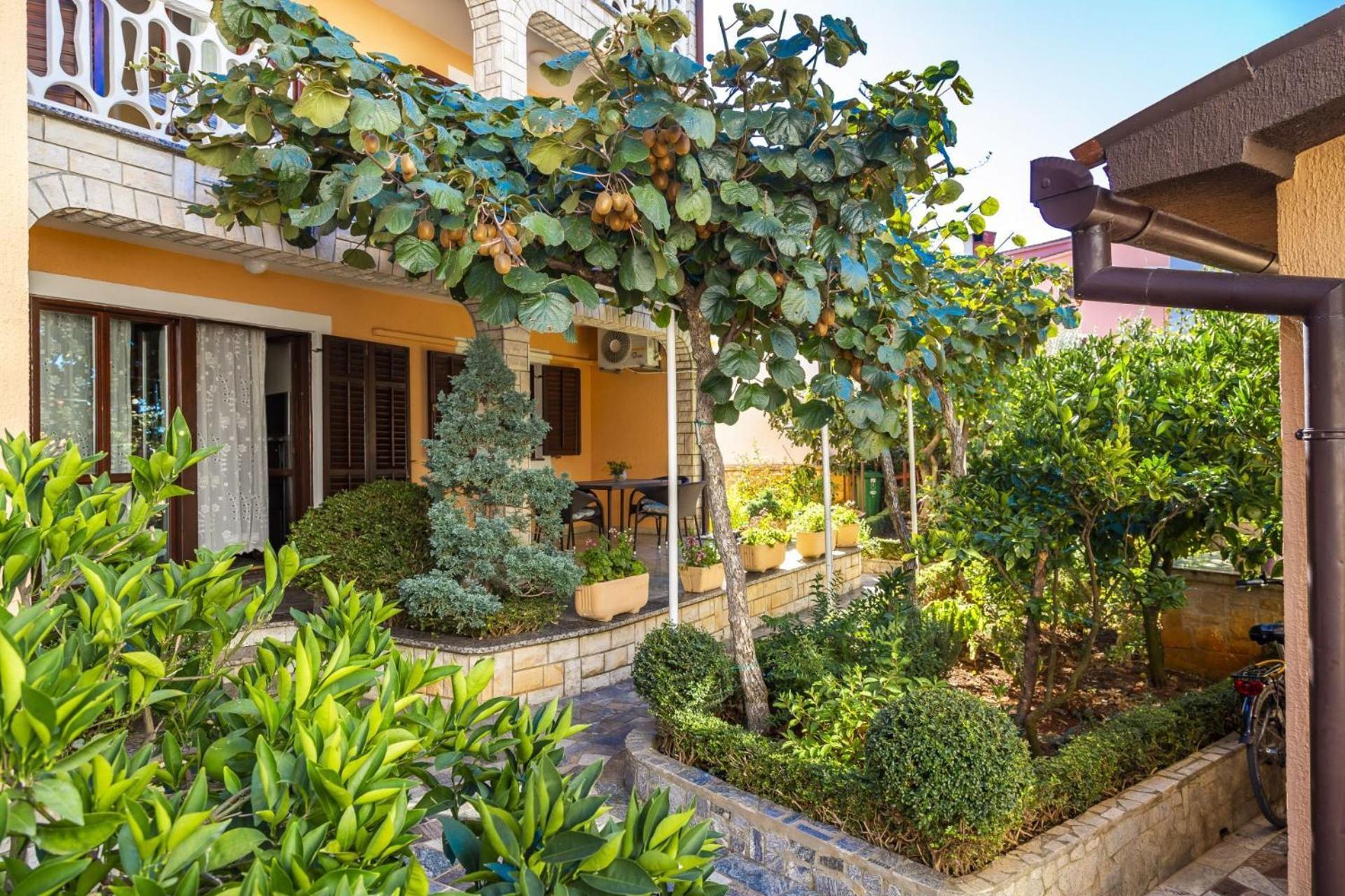 Apartments Mir Fažana エクステリア 写真