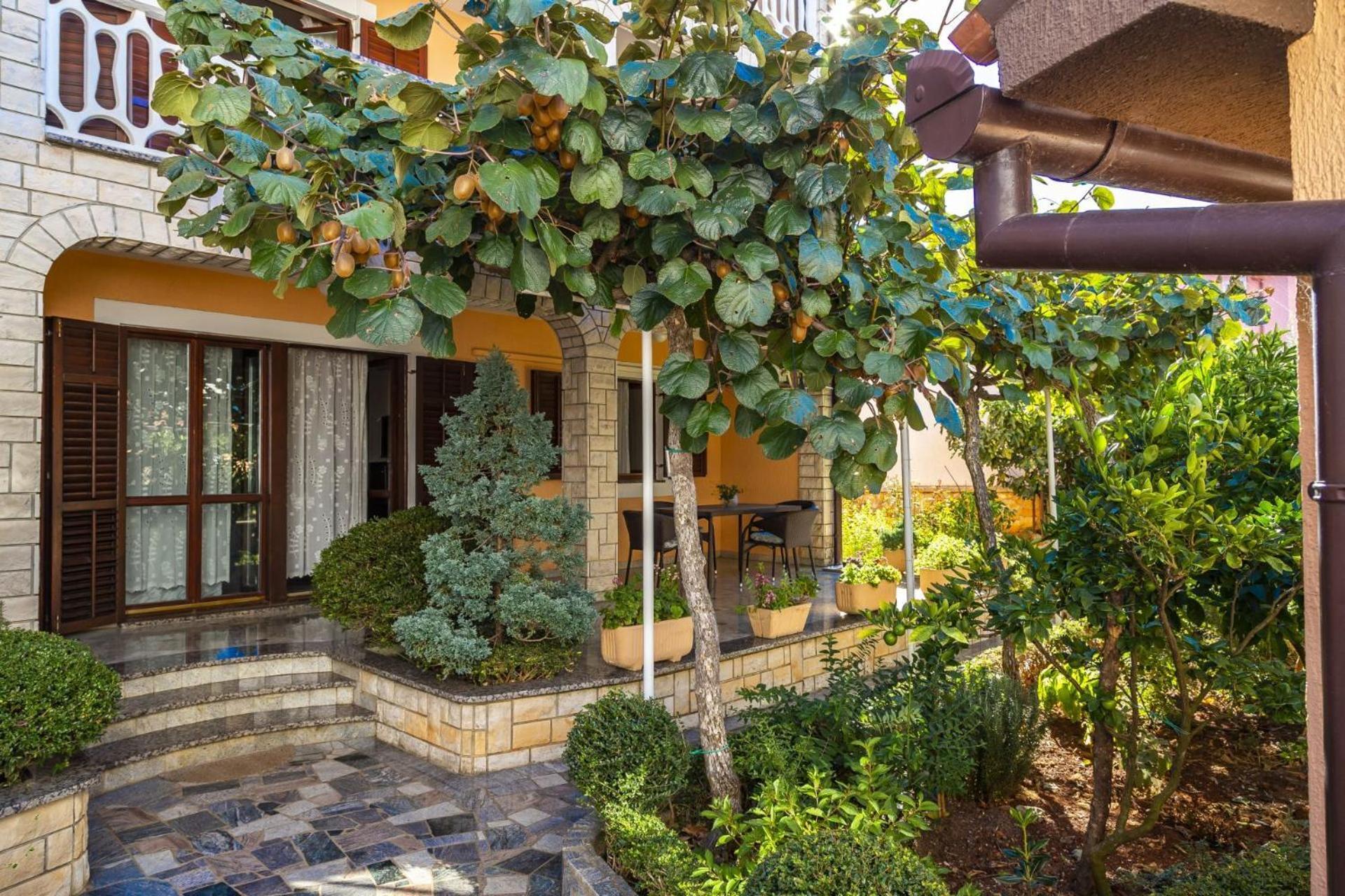 Apartments Mir Fažana エクステリア 写真
